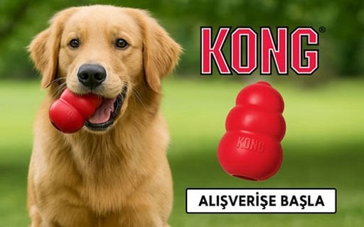 kong