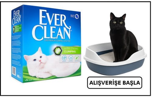 EVER CLEAN
