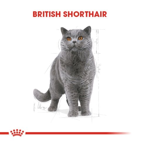 Royal Canin Adult British Shorthair 4 Kg