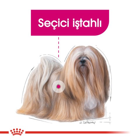 Royal Canin Mini Exigent 3 Kg