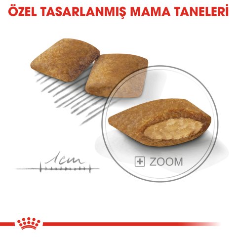 Royal Canin Mini Exigent 3 Kg