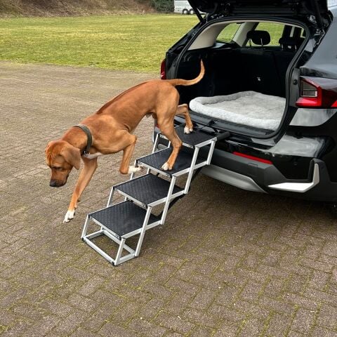 Köpek Rampası Katlanır Basamaklı Alüminyum 4 Basamak