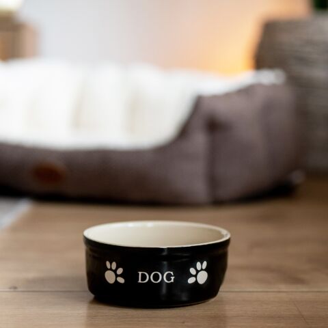 Seramik Mama Kabı Dog 13,5x13,5x 5 Cm 250 Ml