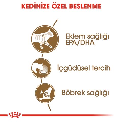Royal Canin Ageing 12+ Gravy 85 Gr 12 li Paket