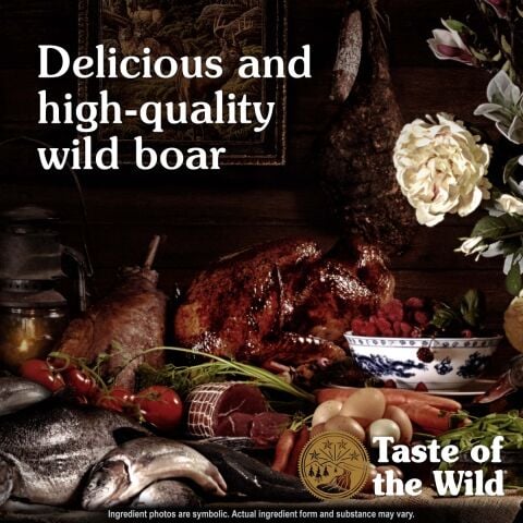 Taste of the Wild Southwest Canyon Yaban Domuzlu Tahılsız Köpek Maması 12.2 Kg