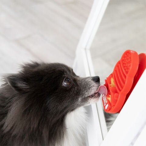 KONG Licks Köpekler için Sıvı Ödül Maması Oyuncağı S