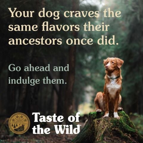 Taste Of The Wild Appalachian Valley Küçük Irklar İçin Yetişkin Köpek Maması 2 Kg