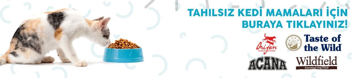 Tahılsız kedi mamaları