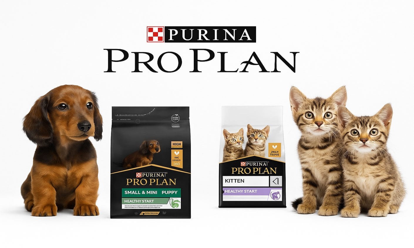 pro plan kedi