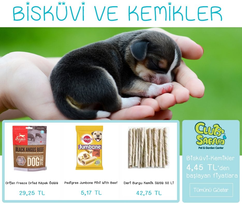 köpek bakım malzemeleri