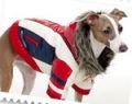 Köpek Elbiseleri