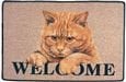 Kedi Tuvaleti Paspasları