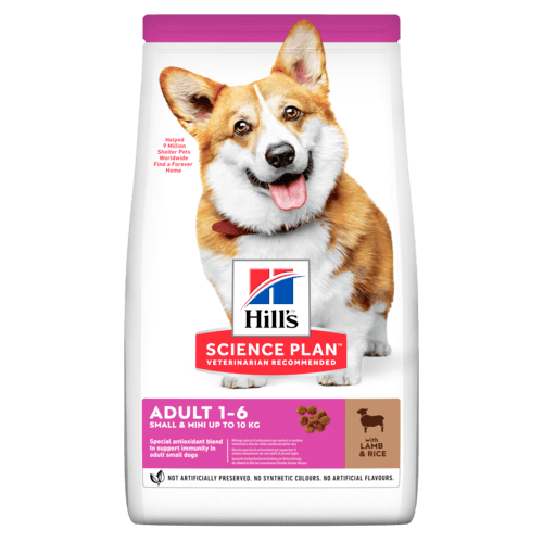Hill's Science Plan Dog Adult Small & Miniature Lamb 1,5 Kg