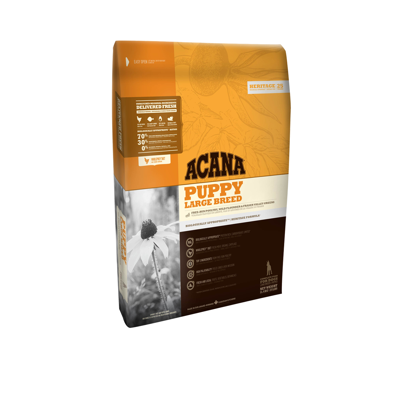 Acana Puppy Large Breed Büyük Irk Yavru Köpek Maması 11,4 Kg
