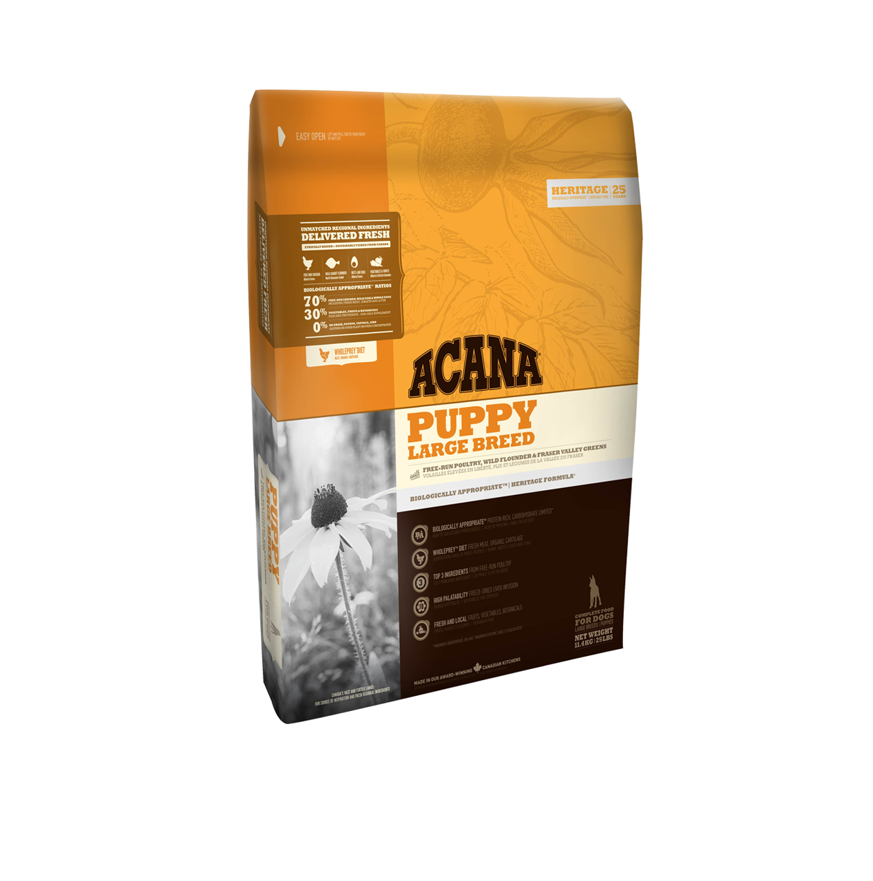 Acana Puppy Large Breed Büyük Irk Yavru Köpek Maması 11,4 Kg