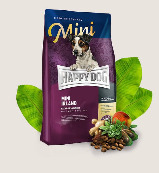 HAPPY DOG MINI IRLAND 4 KG