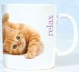 Ginger Kitten ''Relax'' Chunky Kupa