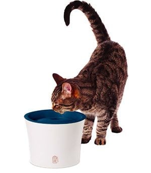 Hagen Catit Fresh & Clear Su Pınarı 50053
