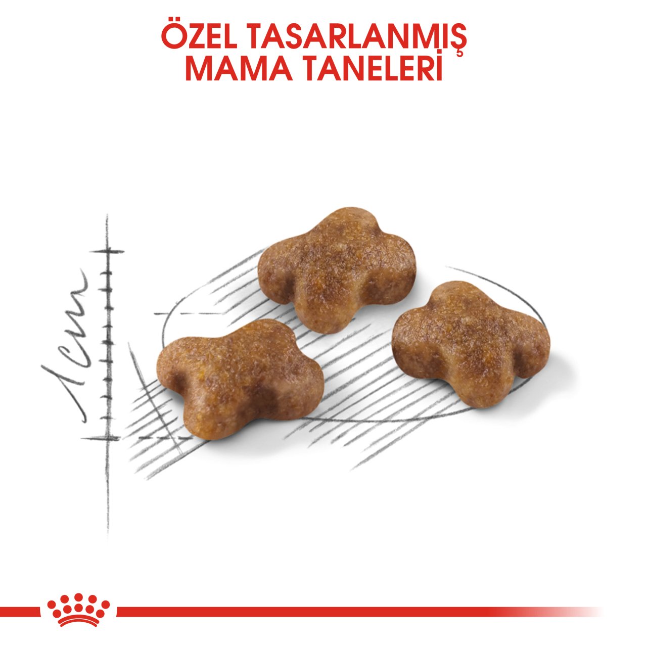 Royal Canin Kitten Tavuklu Yavru Kedi Maması