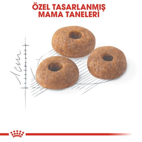 Royal Canin Fit 32 Tavuklu Yetişkin Kedi Maması 3 Kg