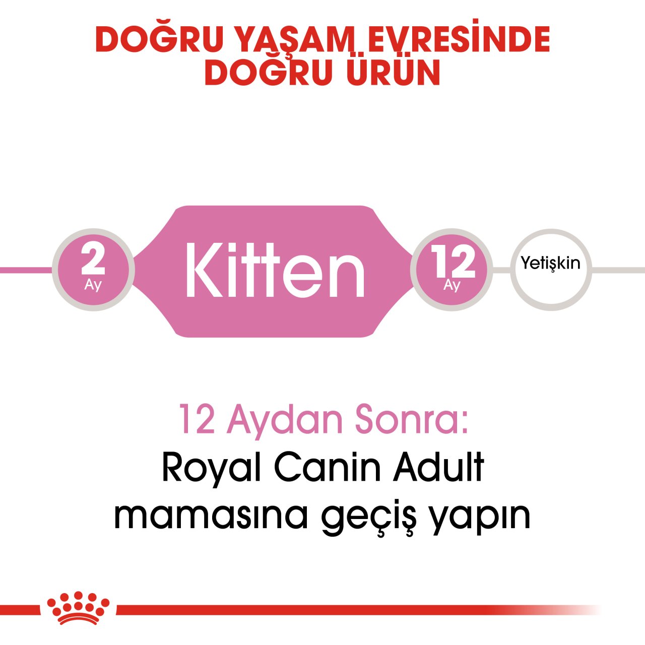 Royal Canin Kitten 4 Kg