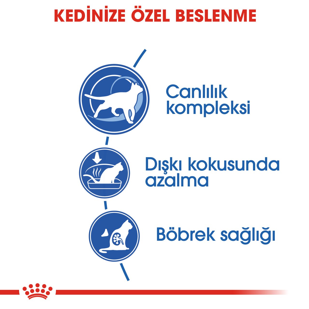 Royal Canin Indoor 7+ 3.5 Kg