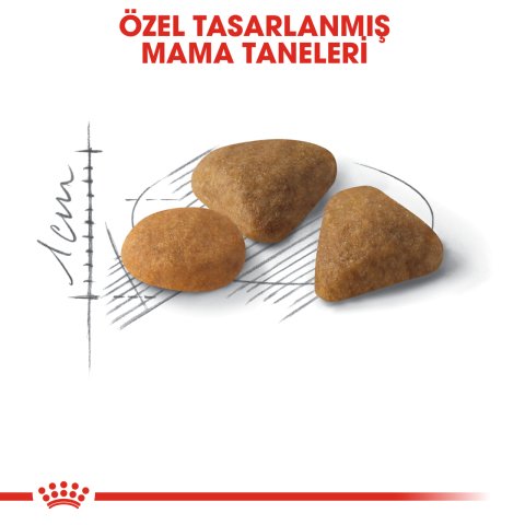 Royal Canin Exigent Savour 4 Kg