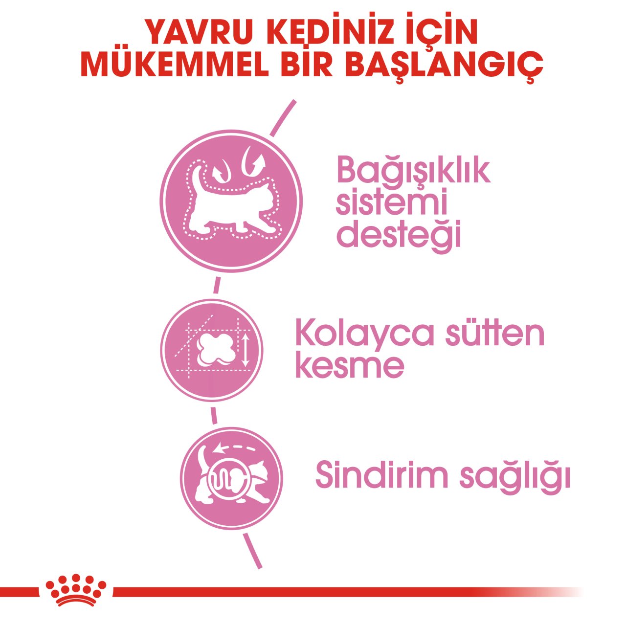 Royal Canin Mother&Babycat 4 Kg