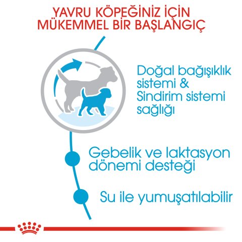 ROYAL CANIN MINI STARTER MOTHER&BABYDOG 4 KG
