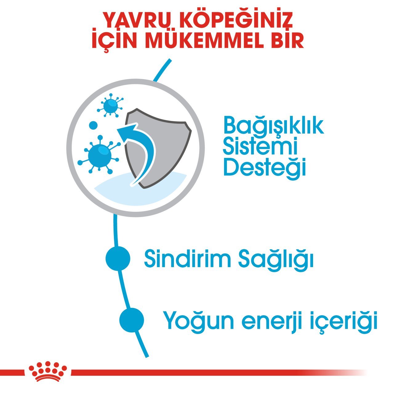 Royal Canin Mini Puppy 2 Kg