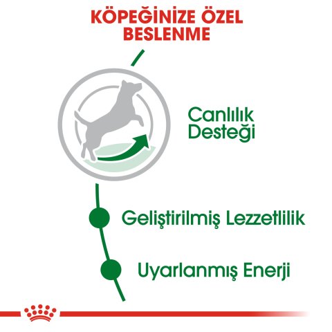 Royal Canin Mini Adult 8+ 2 Kg