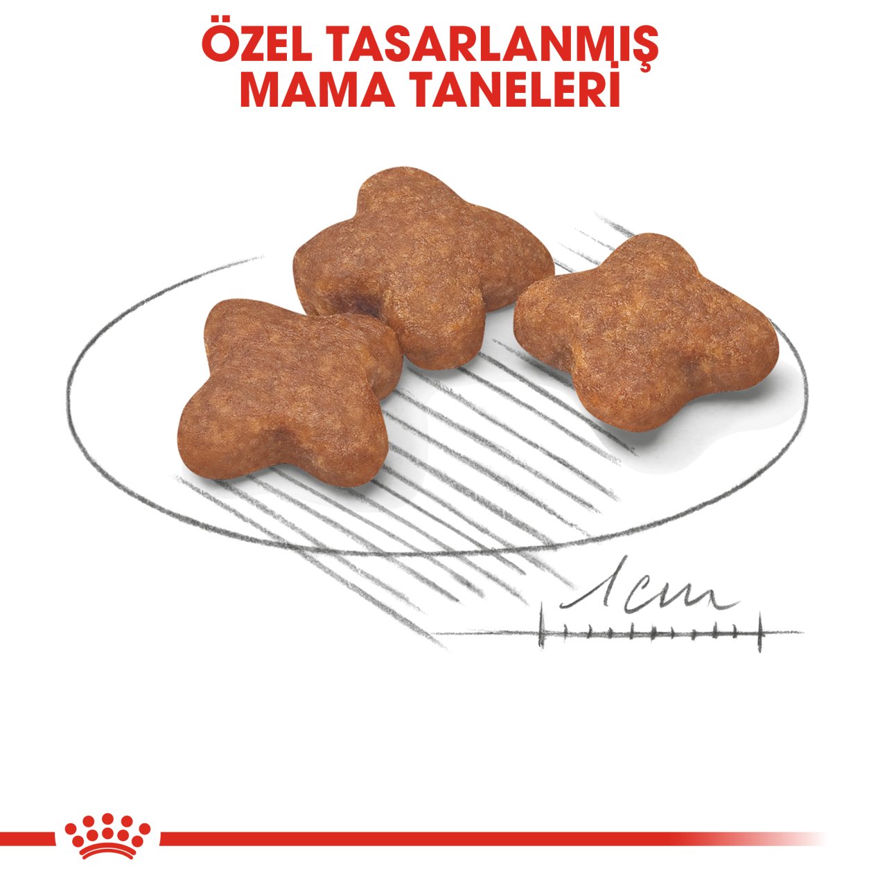 Royal Canin Mini Adult 8+ 2 Kg