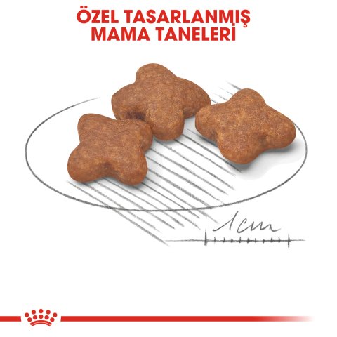 Royal Canin Mini Adult 8+ 2 Kg
