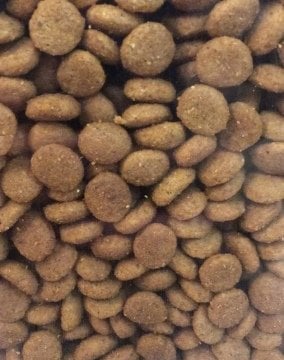 Royal Canin Kısırlaştırılmış Tavuklu Kedi Maması