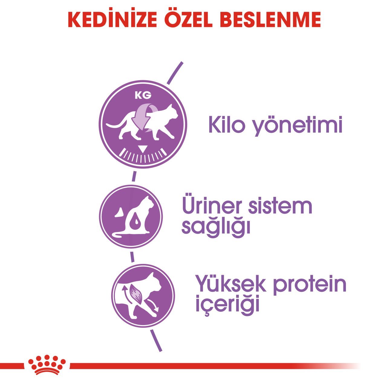 Royal Canin Kısırlaştırılmış Tavuklu Kedi Maması 4 Kg