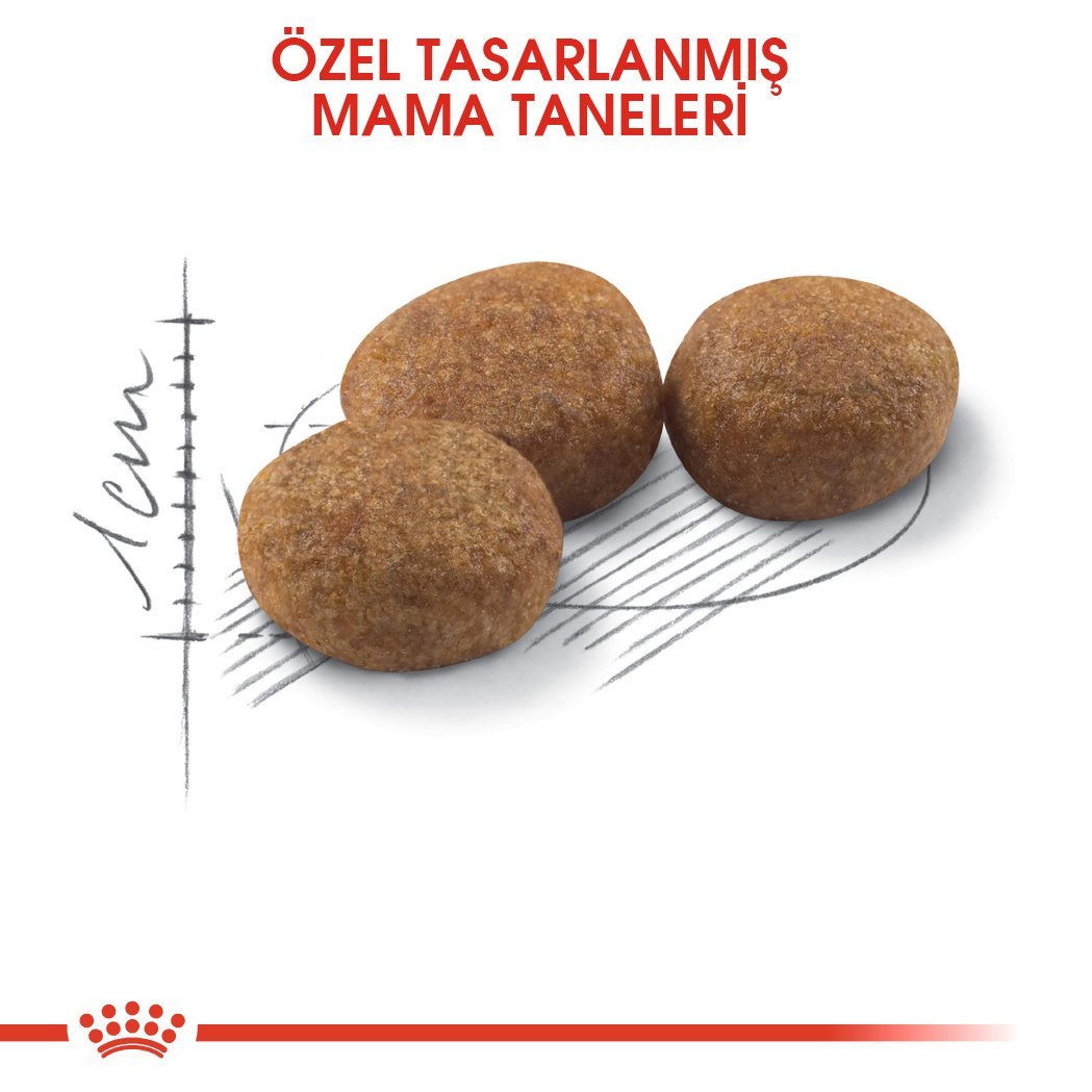 Royal Canin Kısırlaştırılmış Tavuklu Kedi Maması 4 Kg