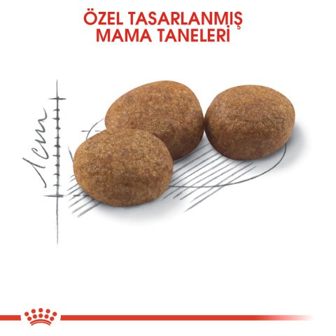Royal Canin Kısırlaştırılmış Tavuklu Kedi Maması 4 Kg