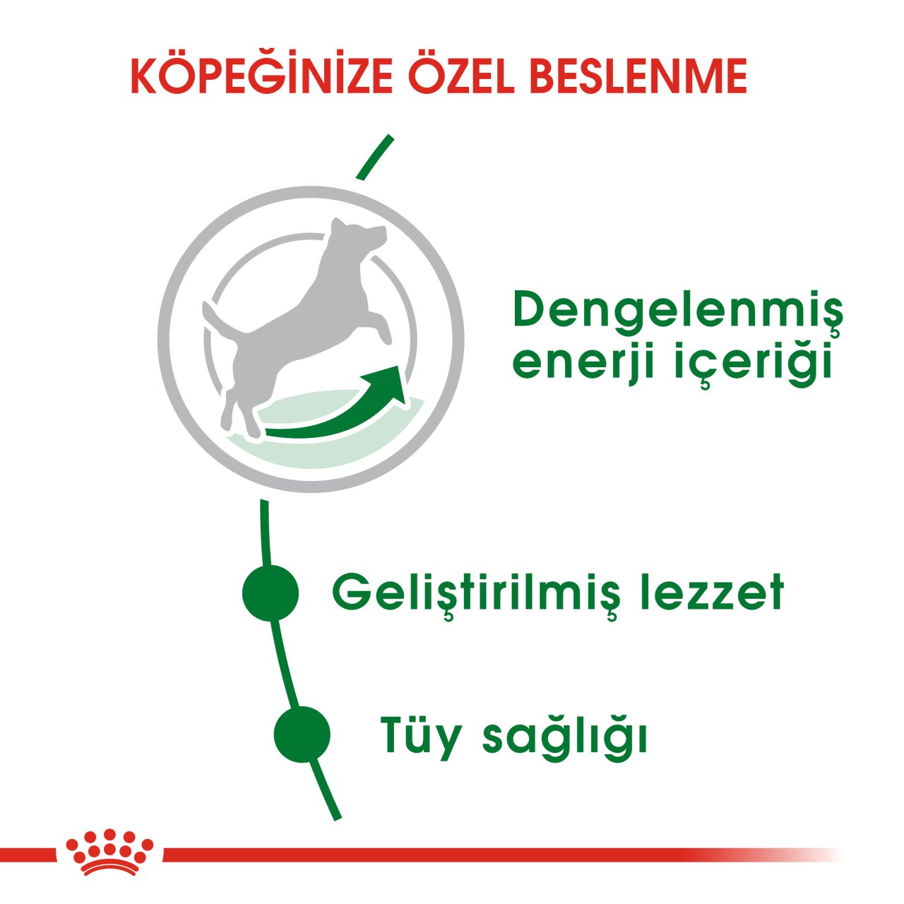 Royal Canin Mini Adult 8 Kg