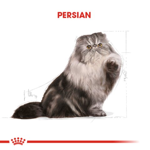 Royal Canin Adult Persian 2 Kg