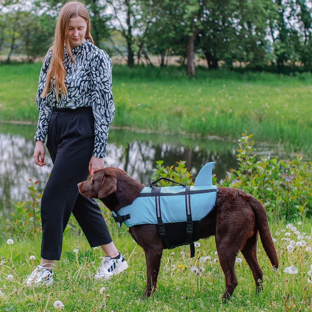 Can Yeleği Köpek ''Sharki''