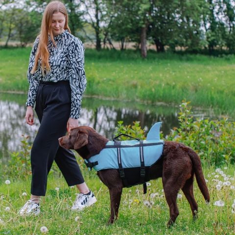 Can Yeleği Köpek ''Sharki''