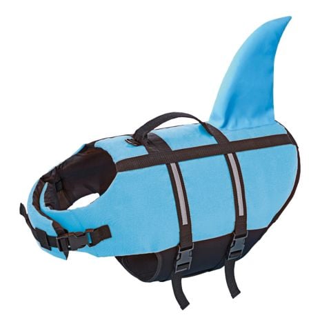 Can Yeleği Köpek ''Sharki''