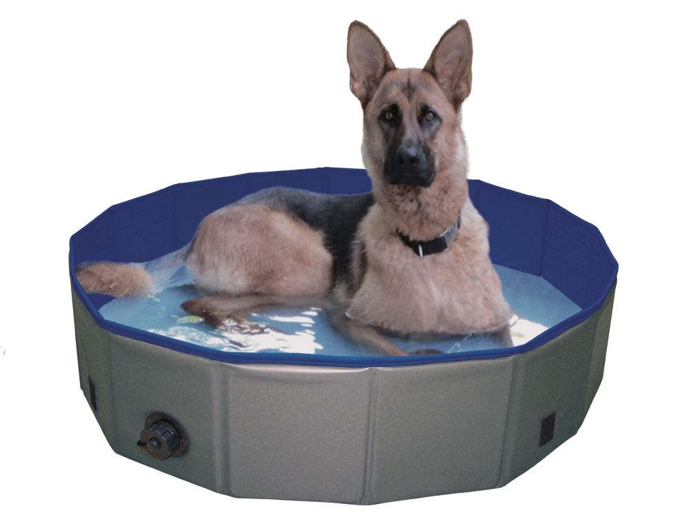Köpek Havuzu