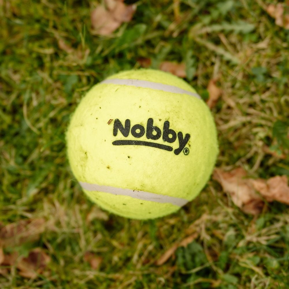 Tenis Topu Tekli 4.5 Cm çap