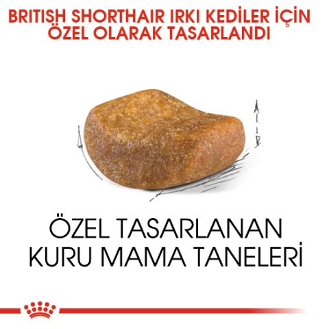Royal Canin Adult British Shorthair 4 Kg