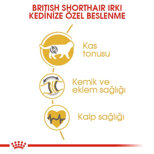 Royal Canin Adult British Shorthair 4 Kg