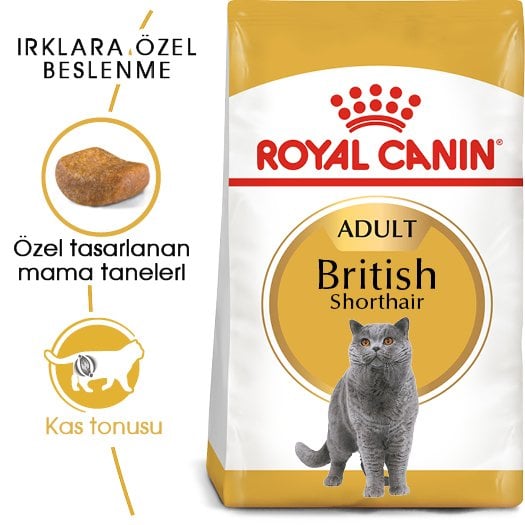 Royal Canin Adult British Shorthair 4 Kg