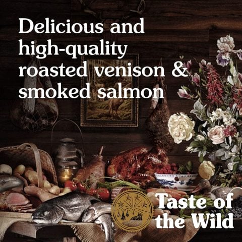 Taste Of The Wild Rocky Mountain Tahılsız Yavru Ve Yetişkin Kedi Maması 6.6 Kg
