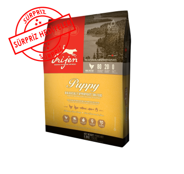 Orijen Puppy Yavru Köpek Maması 11,4 Kg