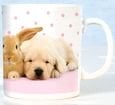 Puppy & Rabbit ''Sugar & Spice'' Chunky Kupa